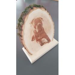 Trophée Bois Ecorce Gravure Laser -  