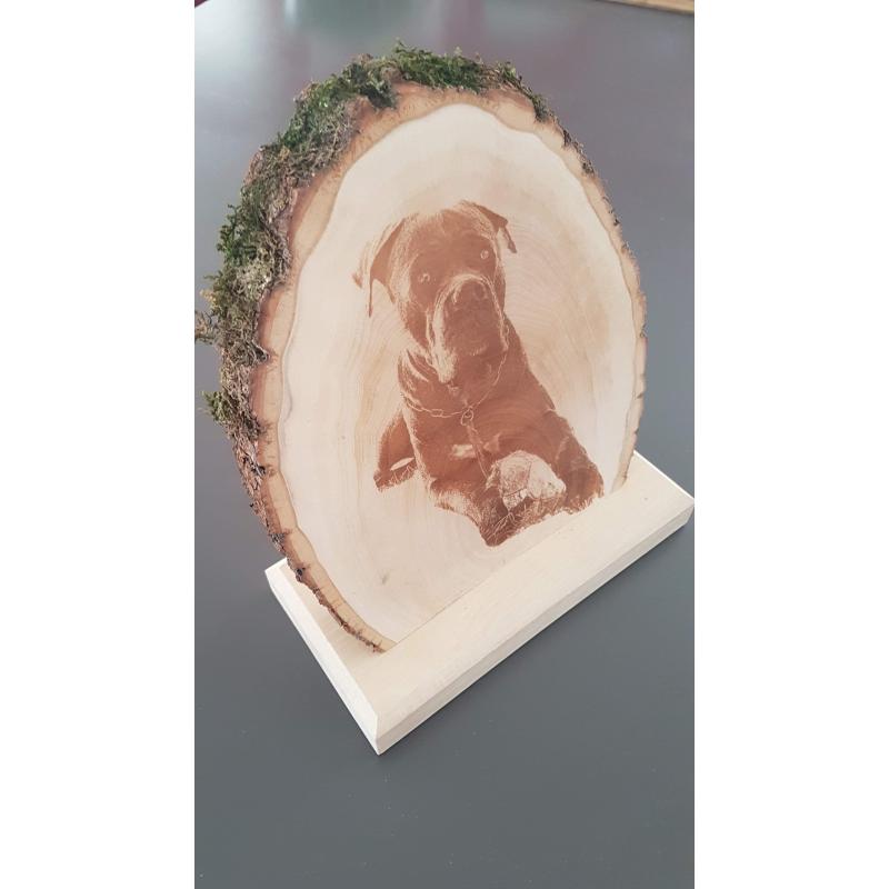 Trophée Bois Ecorce Gravure Laser -  