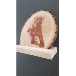 Trophée Bois Ecorce Gravure Laser -  