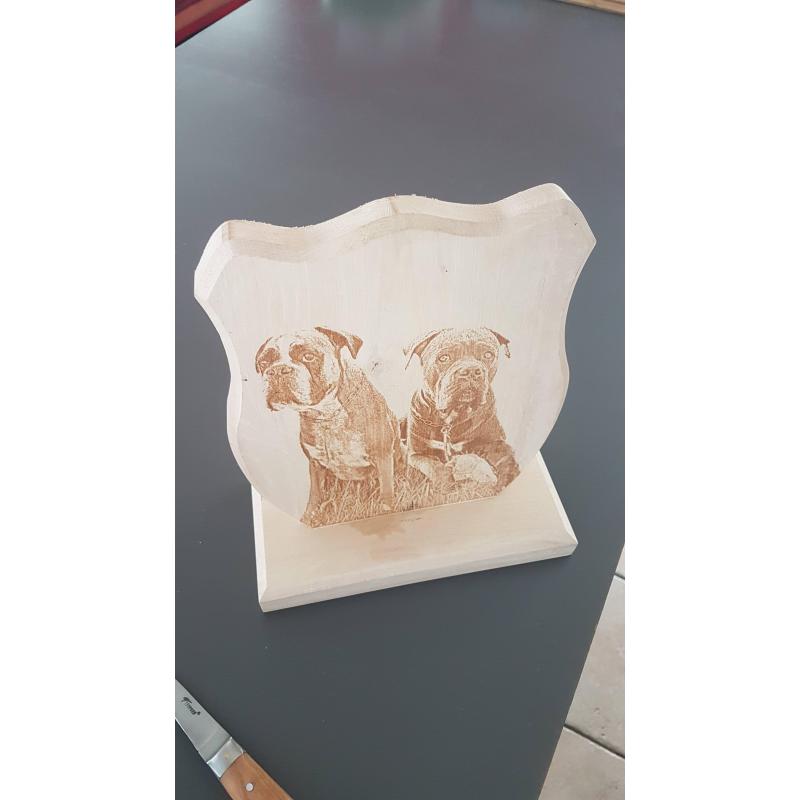 Trophée Bois Blason Gravure Laser -  