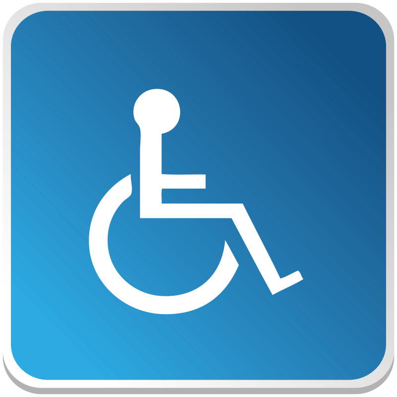 HANDICAPE (PMR) - HANDICAPE (PMR) -