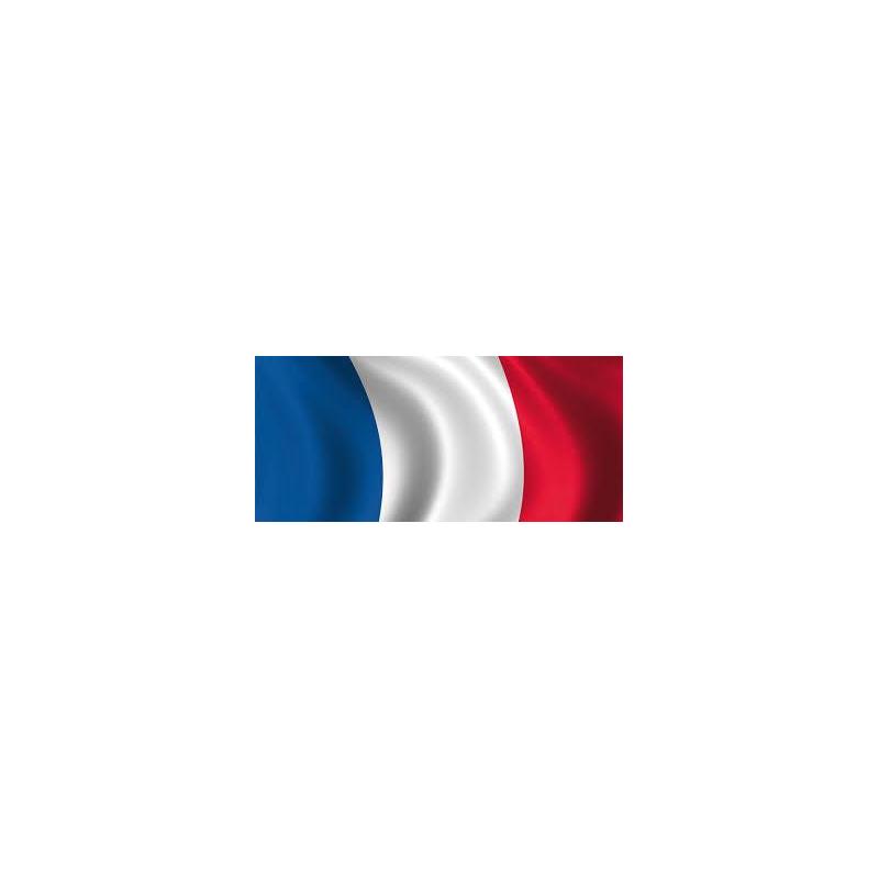 Pavillon France - Pavillon France -