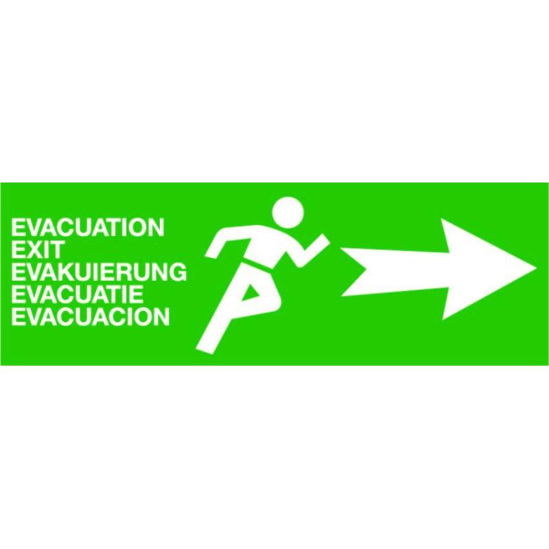 FLECHE ISSUE DE SECOURS G&D R&V - FLECHE ISSUE DE SECOURS G&D R&V -