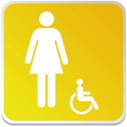 Logo Sanitaire Femme Handicapé Couleur (PMR) -  