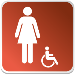 Logo Sanitaire Femme Handicapé Couleur (PMR) -  