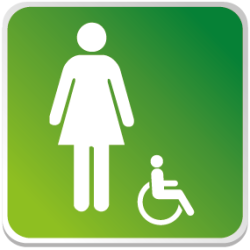 Logo Sanitaire Femme Handicapé Couleur (PMR) -  