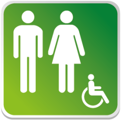 Logo Sanitaire Homme Femme Handicapé Couleur (PMR) -  