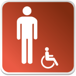 Logo Sanitaire Homme Handicapé Couleur (PMR) -  