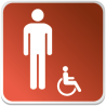 Logo Sanitaire Homme Handicapé Couleur (PMR) -  