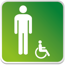 Logo Sanitaire Homme Handicapé Couleur (PMR) -  