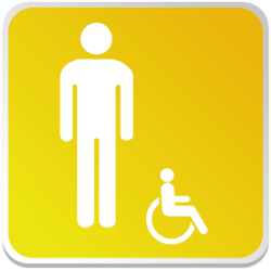Logo Sanitaire Homme Handicapé Couleur (PMR) -  