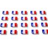 Drapeau France Doming pour Badge Alu line 38 -  
