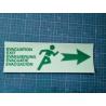 FLECHE PVC 3mm ISSUE DE SECOURS ou EVACUATION PHOTOLUMINESCENTE -