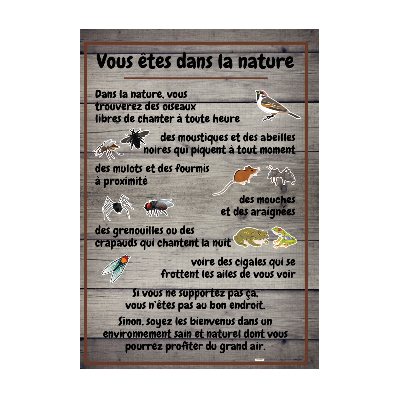 Vous êtes dans la Nature fond bois gris -  