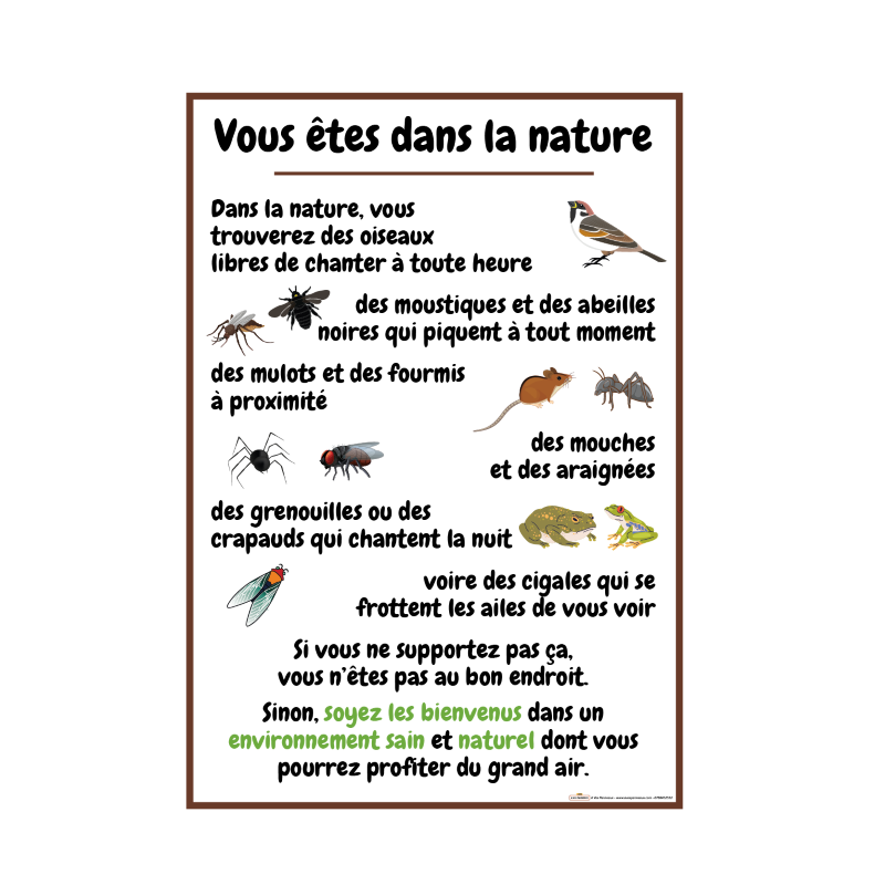 Vous êtes dans la Nature fond Blanc -  