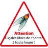 Attention Cigales -  