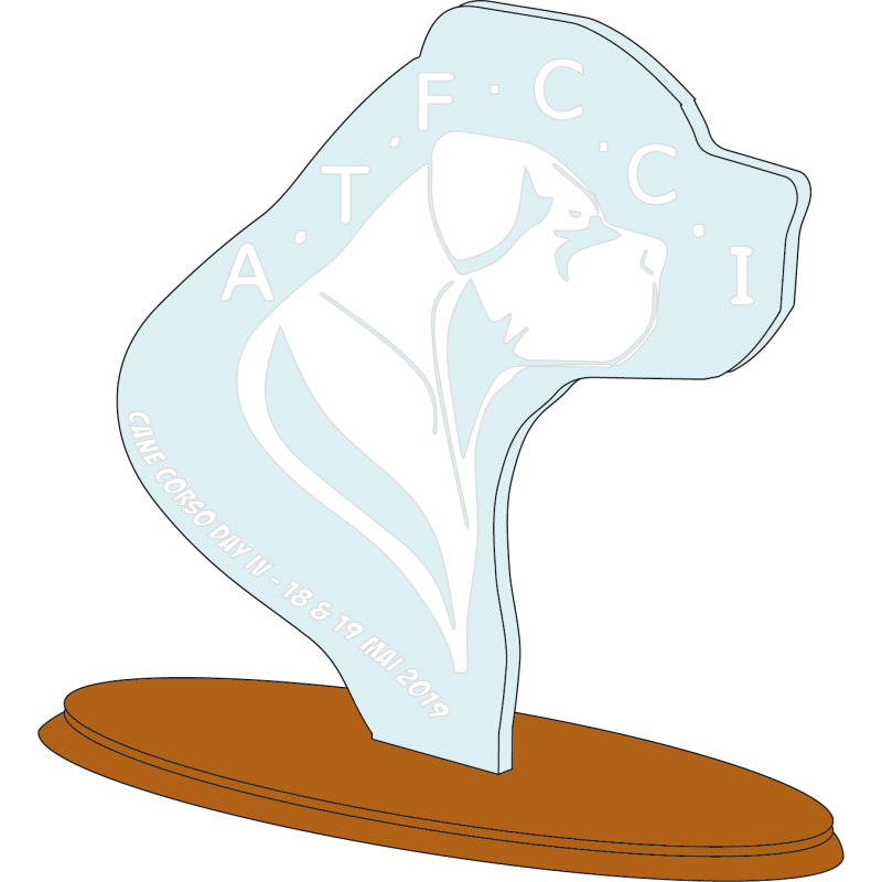 TROPHEE BOIS PLEXI 20cm -  