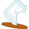 TROPHEE BOIS PLEXI 20cm -  