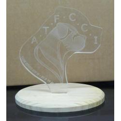TROPHEE BOIS PLEXI 20cm -  