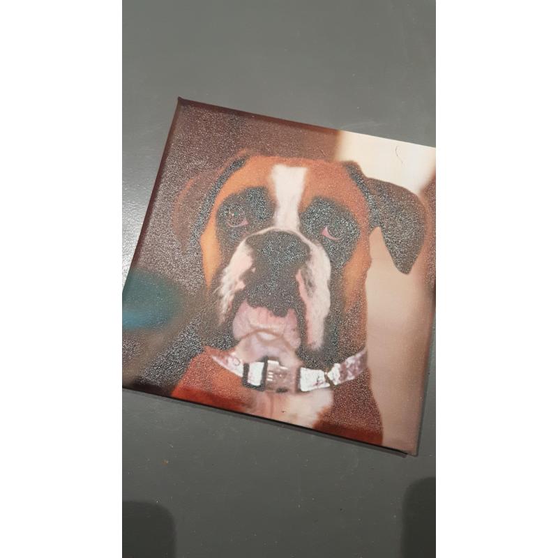 Impression Photo sur Cadre Toilé 20x20 -  