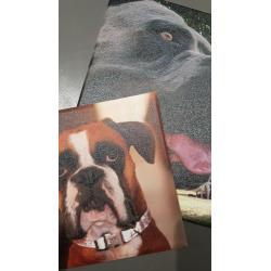 Impression Photo sur Cadre Toilé 20x20 -  