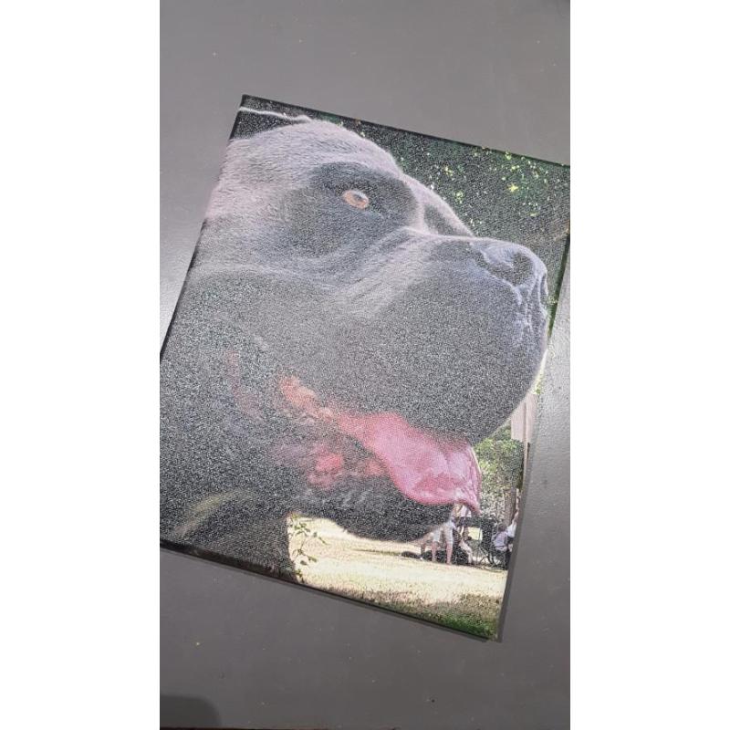Impression Photo sur Cadre Toilé 24x30 -  