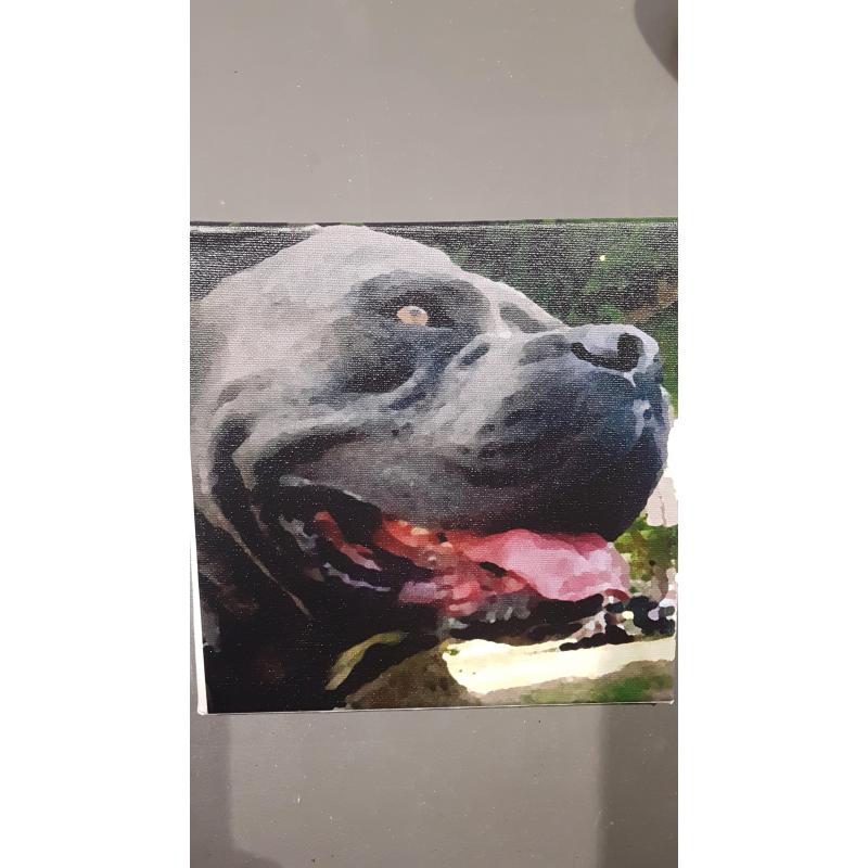 Impression Photo sur Cadre Toilé 20x20 Style Peinture - Impression Photo sur Cadre Toilé 20x20 Style Peinture -