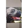 Impression Photo sur Cadre Toilé 20x20 Style Peinture -  